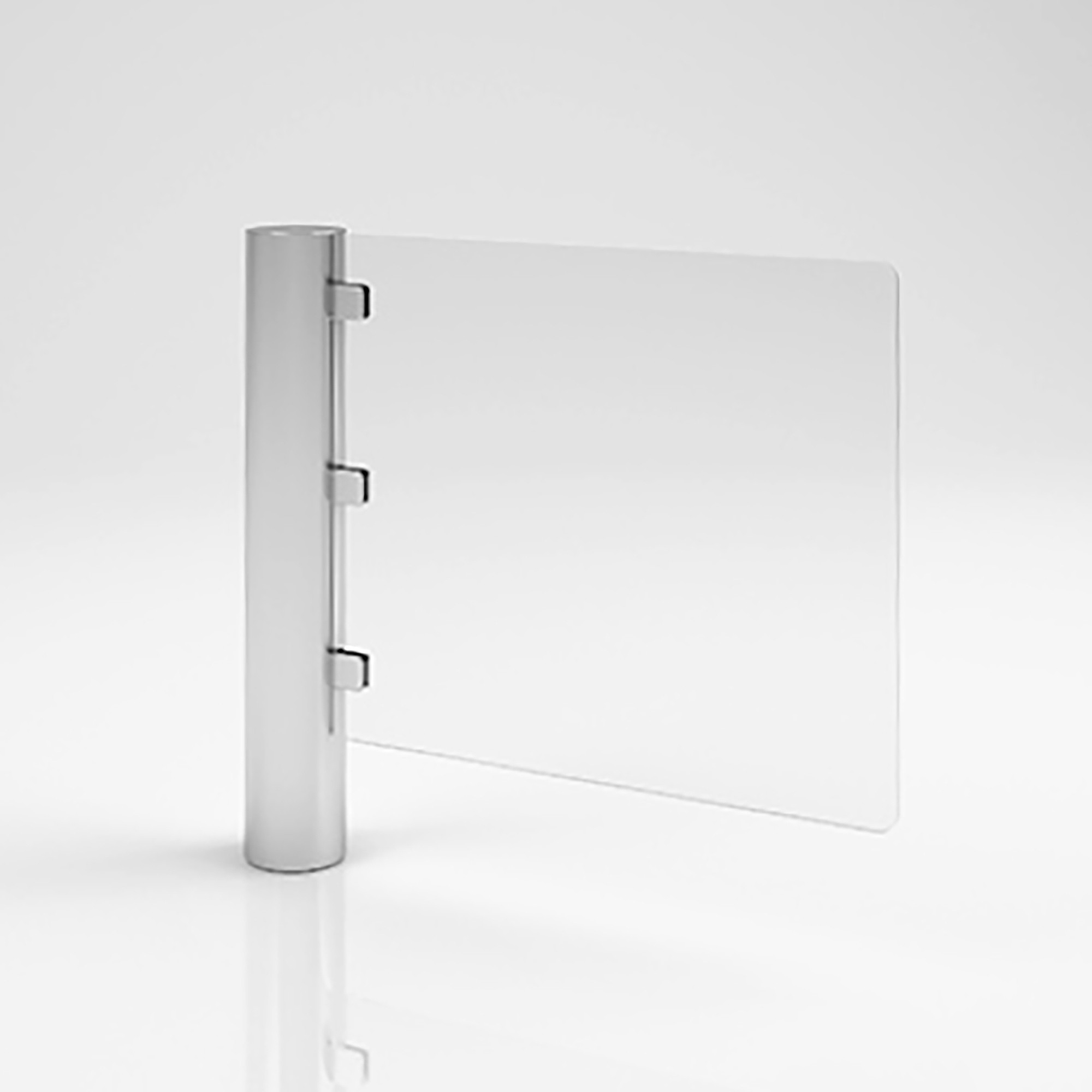 AutoControl Pedestrian Glass Panel Swing Gate